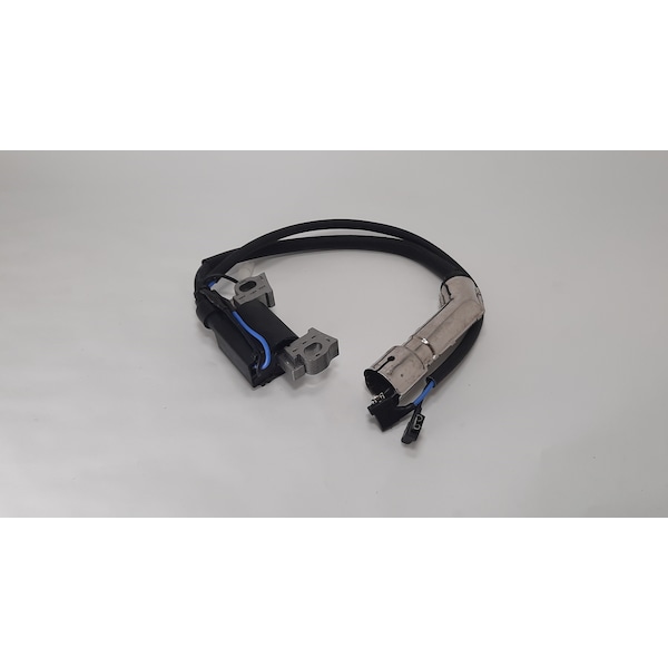 Ignition Module
